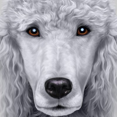 POODL_DOG's profile picture. Building my house in $LVM metaverse. Believer