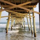 Candace Johnston - @Candace25540481 - Twitter