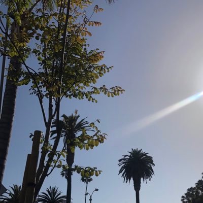 TestHello123's profile picture. 