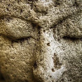 arabia_terra's profile picture. Just another face hurtling through space.