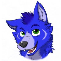 Braket (@braketfox) 's Twitter Profile Photo Braket (@braketfox) 's Twitter Profile Photo