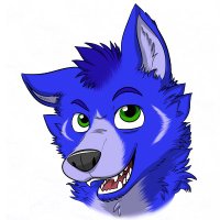 Braket(@BraketFox) 's Twitter Profile Photo