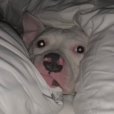 go_die_felip's profile picture. World’s worst capper

I’m drowning in pain