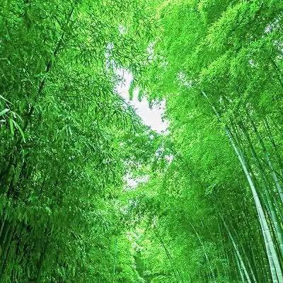 GKVGdGsHodTbmM2's profile picture. 歌を歌うが好き🎤地方創生、ふるさとめぐり市応援してくださいね📣