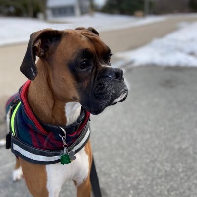 inwonderland02's profile picture. 