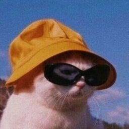 Isidraherj's profile picture. 