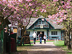 DirectorRLC's profile picture. Museum of country life. Aspects of village and rural life are displayed in realistic individual settings spread over a picturesque 10 acre site.