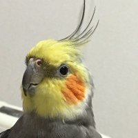 JK1AKA (@jk1aka) Twitter profile photo