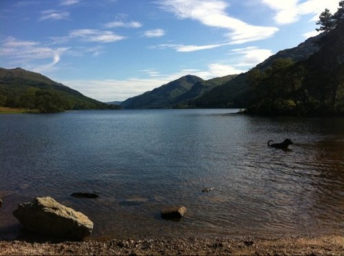 DomMacConnell's profile picture. 