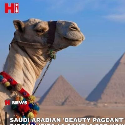 Journalist | Deep-dives into Investigations | High Stake Political Stories | Breaking News | New Born Journalist | Student till death | Critic