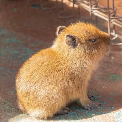 TRNZTRNCS's profile picture. 