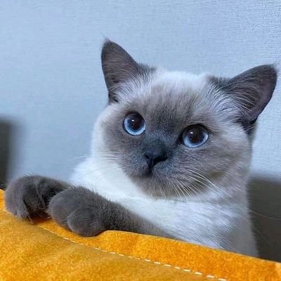 MussaBrown7's profile picture. 