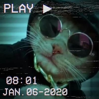 Paul79499586's profile picture. 
