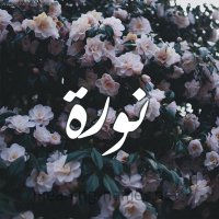 نورة 🦋 (@queen9296) 's Twitter Profile Photo نورة 🦋 (@queen9296) 's Twitter Profile Photo