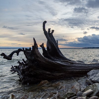 Daily time lapse overlooking Mexico Bay on Lake Ontario by @oliverhine. For more content, please join our Facebook group called 