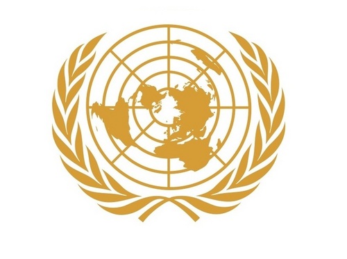 ModelUNGuide's profile picture. Model United Nations Guide