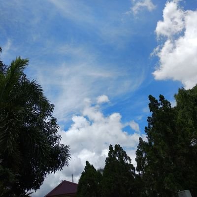 jenisstudying's profile picture. A #studytwt acc || Medstud || pindah ke main acc di @nydfebyaa || baca pin