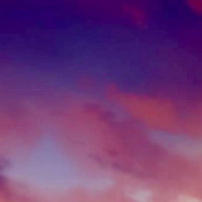 ShrimpSofia's profile picture. i am sofia