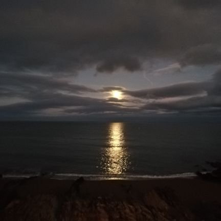 A Kerry woman with a passionate interest in education and the arts. Views totally mine!