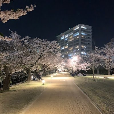 68rFenwhbVG51B8's profile picture. 