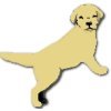 HDLRC's profile picture. The official twitter page of the High Desert Labrador Retriever Club. We're all about LABRADORS!!