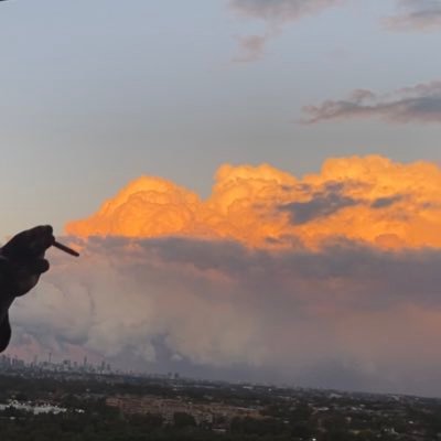 Perservere333's profile picture. Ain't no fun without the pain