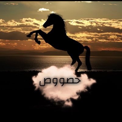 Hasah87525955's profile picture. 