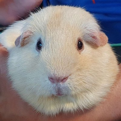 jeffrey200140's profile picture. i am jeffrey