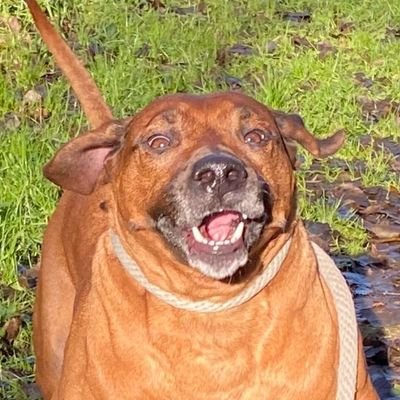 FeverTree8's profile picture. 