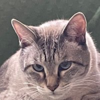 mkh (@m0131aquarius) 's Twitter Profile