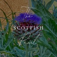 TheScottishPearl(@ScottishPearls) 's Twitter Profile Photo