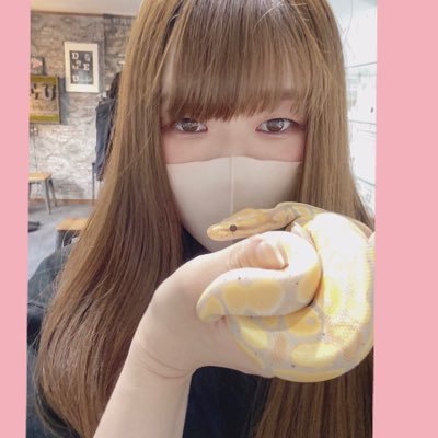 ボール🐍 💍@masaaki_CLOWN 夫婦でどっぷり沼❤️‍🔥 ボール15匹 🐍ニシアフ5匹🦎🎀爬虫類全般大好き🐢はちゅの可愛い尊いを共有(ただの親バカ)🐸気軽に絡んでください🥰日常も呟きます🌼※写真等の無断転載禁止🙅‍♀️フォローいいねRT喜びます♡