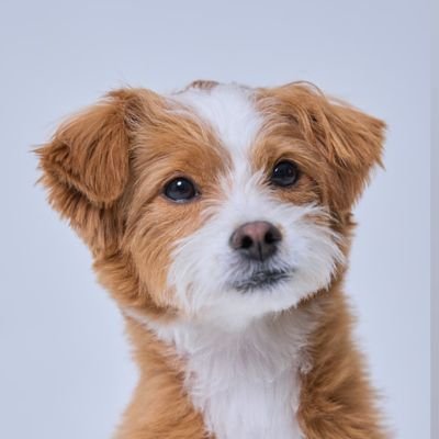 sunshinebabal's profile picture. 누군가의 부계