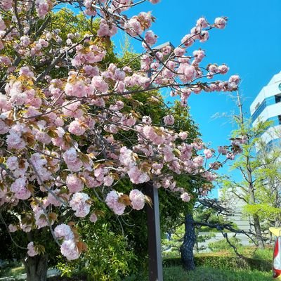 ADl3r9LNVcs9FIY's profile picture. 