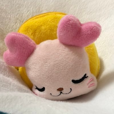 sacchaaa's profile picture. 