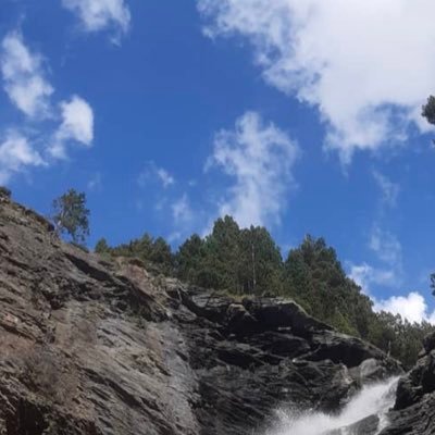 Patjohnsun1's profile picture. Caring