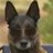 sasa2192039427's profile image