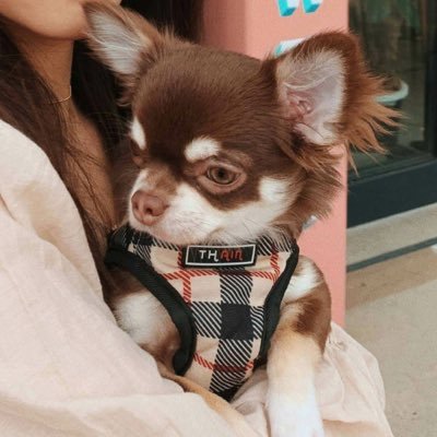 NpNiiWtj4H6SOXl's profile picture. http://03.愛知.au AAA,Nissy,EXILE