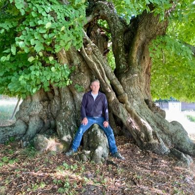 More old 🌲🌴🌳 🌵trees please #treefluencer ♐️ #treelanes #treeride