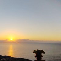 みさぴ。 (@next_type_bee13) 's Twitter Profile