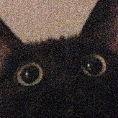 ameme1229's profile picture. 