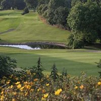 Forrest Little Golf (@forrestlittle) 's Twitter Profile