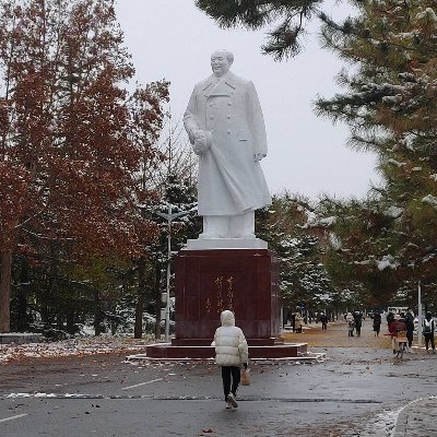 daizhenyu1's profile picture. 旅游，阅读