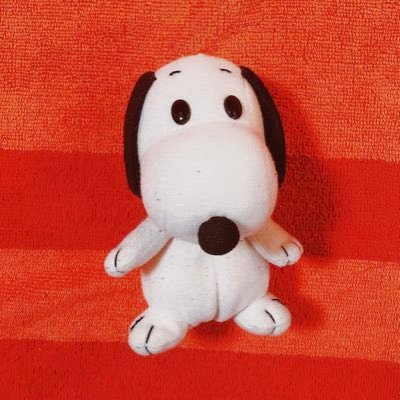 cocoa11さんのプロフィール画像