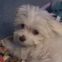 Sheena Edwards - @Jeter_Lover - Twitter