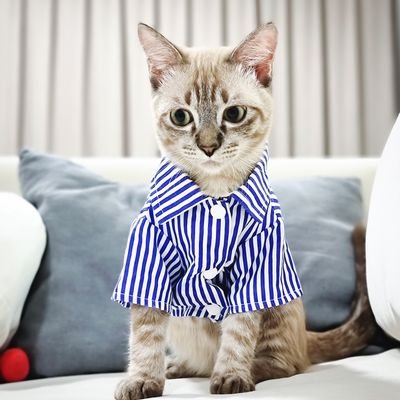 B e e rさんのプロフィール画像