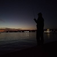 ずみ釣り垢 (@zumi_fishing) Twitter profile photo