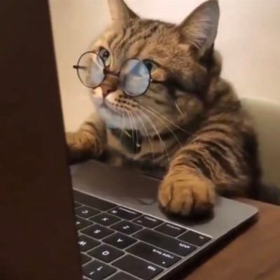 EmmaPa5's profile picture. 