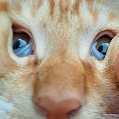 이대구さんのプロフィール画像