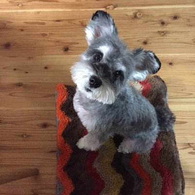 MIUさんのプロフィール画像